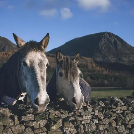 Cedar Nook Feriehus Loweswater