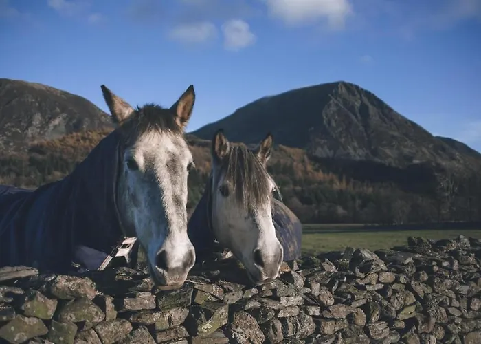 Cedar Nook Feriehus Loweswater